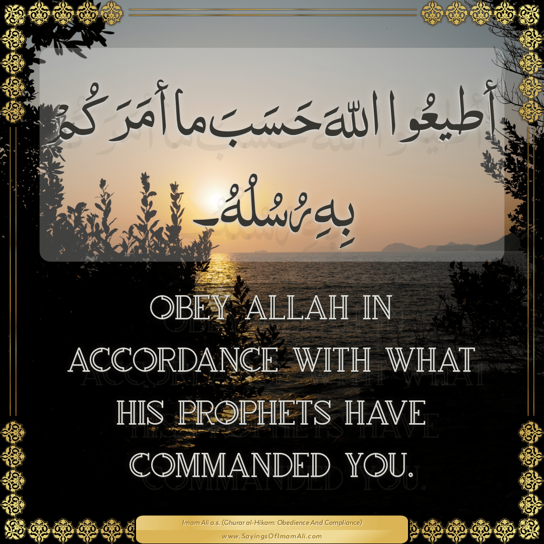 Obey Allah in accordance with what His Prophets have commanded you.